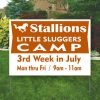Summer_camp_Yard_Signs_The-Yard-Sign-Factory Yard Signs (bundles)